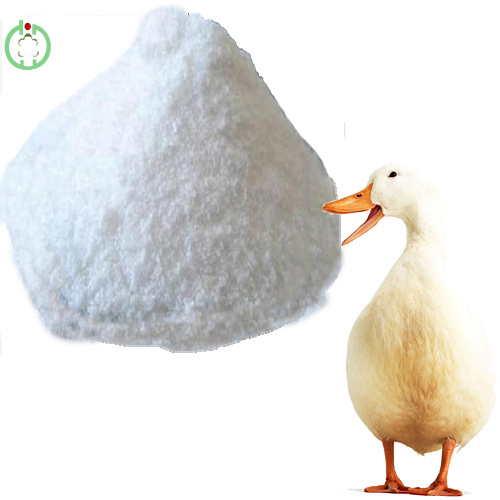 Environmental Benefits - Feed Additives, Animal Nutrition, methionine, biolys, threonine, trypt