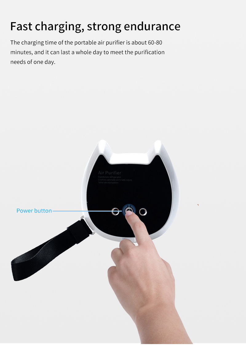 Nano negative ion purifier