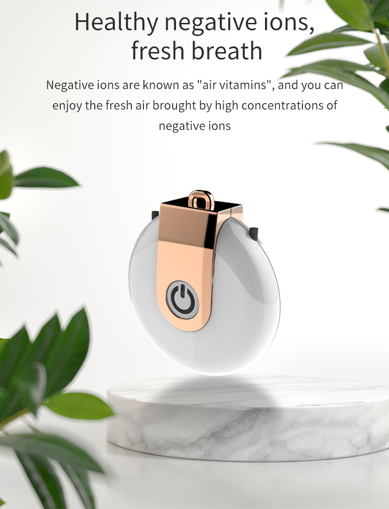 Negative ion air purifier 2